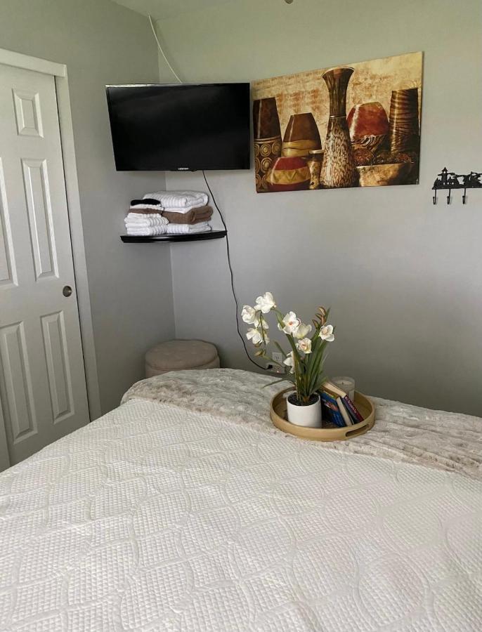 Sweet Dreams Private Across From The Hard Rock Casino Homestay